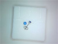 Ohrringe Sommer Gioielli Dame P.LUCE in Gold P.L. ZIRC BL PI $/Z - P.L. ZIRC BL PI $/Z